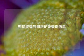 如何能查到网贷记录查询信息