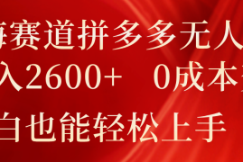 简单项目蓝海赛道拼多多无人直播，日入2600+，0成本变现，小白也能轻松上手便宜07月13日福缘网VIP项目