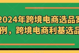 简单项目2024年跨境电商选品案例，跨境电商利基选品（更新11月）11-14冒泡网