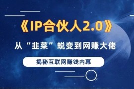 2024最新（13030期）2024如何通过”知识付费“卖项目年入”百万“卖项目合伙人IP孵化训练营10-19中创网