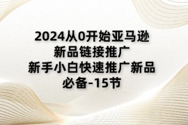 （11224期）2024从0开始亚马逊新品链接推广，新手小白快速推广新品的必备-15节，06月23日中创网VIP项目