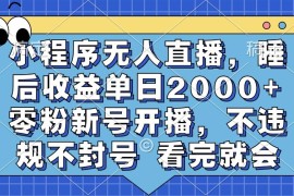 2024最新（13251期）小程序无人直播，睡后收益单日2000+零粉新号开播，不违规不封号看完就会11-07中创网