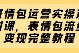 创业项目表情包运营实操系列课，表情包流量变现完整教程便宜07月09日冒泡网VIP项目