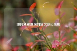 如何免费查询网贷欠款记录呢