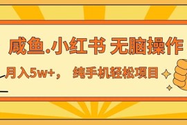 简单项目（11524期）2024最赚钱的项目，咸鱼，小红书无脑操作，每单利润500+，轻松月入5万+&#8230;便宜07月09日中创网VIP项目