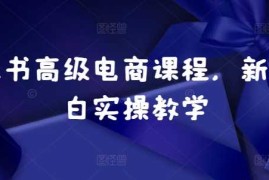 简单项目小红书高级电商课程，新手小白实操教学11-12冒泡网