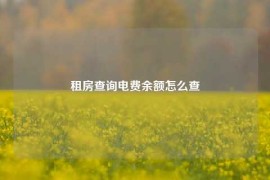 租房查询电费余额怎么查