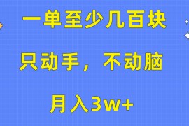 2024热门给力项目项目，一单至少几百块，只动手不动脑，月入3w+。看完就能上手，保姆级教程