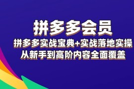 实战（12056期）拼多多会员，拼多多实战宝典+实战落地实操，从新手到高阶内容全面覆盖便宜08月09日中创网VIP项目