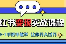 实战小红书推广实战训练营，小红书从0-1“变现”实战课程，教你月入过W【揭秘】11-04冒泡网