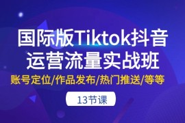 很火跨境电商项目，国际版Tiktok抖音运营流量实战班：账号定位/作品发布/热门推送/等等-13节