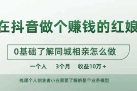 2024最新在抖音做个赚钱的红娘，0基础了解同城相亲，怎么做一个人3个月收益10W+10-25冒泡网