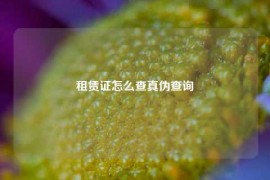 租赁证怎么查真伪查询