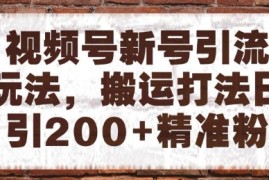 视频号新号引流玩法，搬运打法日引200+精准粉，可矩阵放大【揭秘】