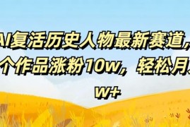 2024最新AI复活历史人物最新赛道，54个作品涨粉10w，轻松月入2w+【揭秘】便宜08月01日冒泡网VIP项目