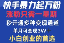 每天（12651期）快手暴力起万粉，涨粉只需一星期，多种变现模式，直接秒开万合，小白创&#8230;09-19中创网