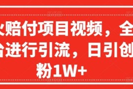 热门项目爆火赔付项目视频，全网平台进行引流，日引创业粉1W+【揭秘】便宜08月06日冒泡网VIP项目