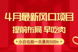 最新短视频运营项目，28.4月最新风口项目，提前布局早吃肉，小白也能一天暴利500+