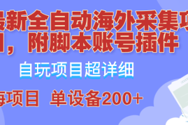 实战外面卖4980的全自动海外采集项目，带脚本账号插件保姆级教学，号称单日200+09-19福缘网