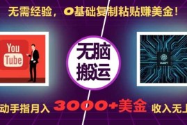 2024最新无需经验，0基础复制粘贴赚美刀，动动手指，月入3000+刀，无上限【揭秘】11-15冒泡网