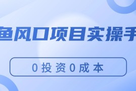 实战（11923期）闲鱼风口项目实操手册，0投资0成本，让你做到，月入过万，新手可做便宜08月01日中创网VIP项目