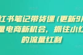 每日小红书笔记带货课(更新9月)流量电商新机会，抓住小红书的流量红利09-10冒泡网