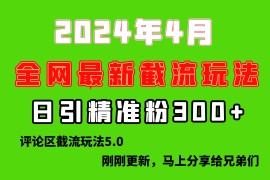 赚钱引流-涨粉-软件项目，刚刚研究的最新评论区截留玩法，日引流突破300+，颠覆以往垃圾玩法，比...