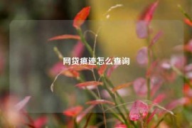 网贷痕迹怎么查询