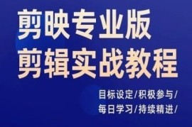 实战剪映专业版剪辑实战教程，目标设定/积极参与/每日学习/持续精进便宜08月04日冒泡网VIP项目