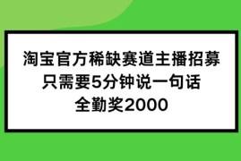 最新项目淘宝官方稀缺赛道主播招募，只需要5分钟说一句话，全勤奖2000【揭秘】便宜08月19日冒泡网VIP项目