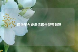 网贷平台查征信报告能看到吗