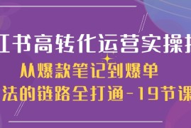 很火小红书项目，小红书-高转化运营 实操指南，从爆款笔记到爆单玩法的链路全打通-19节课