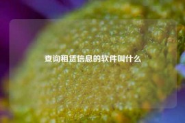 查询租赁信息的软件叫什么