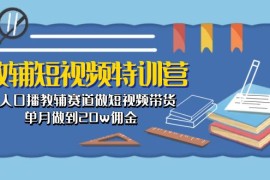 很火短视频运营项目，教辅-短视频特训营： 素人口播教辅赛道做短视频带货，单月做到20w佣金