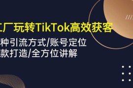 实操跨境电商项目，外贸工厂玩转TikTok高效获客，多种引流方式/账号定位/爆款打造/全方位讲解