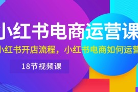 实操小红书项目，小红书·电商运营课：小红书开店流程，小红书电商如何运营