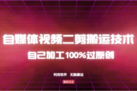 每日（12995期）详细教你自媒体视频二剪搬运技术，自己加工100%过原创，无脑搬运10-16中创网