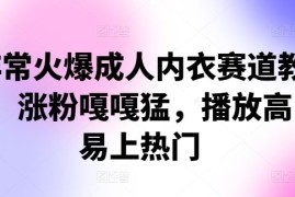 每天非常火爆成人内衣赛道教学，​涨粉嘎嘎猛，播放高，易上热门10-12冒泡网