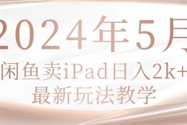 热门无货源项目，2024年5月闲鱼卖ipad日入2k，最新玩法教学