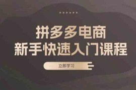 最新项目拼多多电商新手快速入门课程：涵盖基础、实战与选款，助力小白轻松上手11-11福缘网