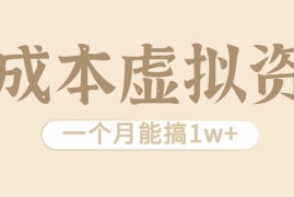 相当暴利的虚拟资源项目，无需成本一个月能搞1w+