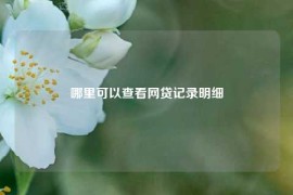 哪里可以查看网贷记录明细