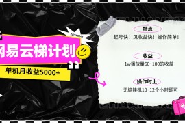 实战热门给力项目项目，最新网易云梯计划网页版，单机月收益5000+！可放大操作