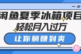 很火无货源项目，闲鱼夏季冰箱项目，轻松月入过万，让你躺赚到爽