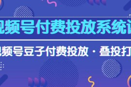 最新短视频运营项目，视频号付费投放系统课，视频号豆子付费投放·叠投打法