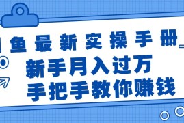 热门项目（11818期）闲鱼最新实操手册，手把手教你赚钱，新手月入过万轻轻松松便宜07月29日中创网VIP项目