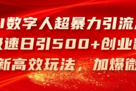 赚钱项目AI数字人超暴力引流法，极速日引500+创业粉，最新高效玩法，加爆微信【揭秘】便宜07月17日冒泡网VIP项目