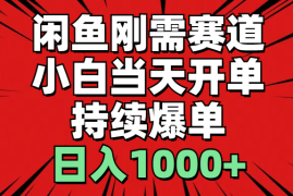 （11243期）闲鱼刚需赛道，小白当天开单，持续爆单，日入1000+，06月24日中创网VIP项目