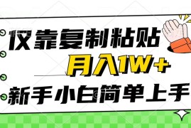 2024热门给力项目项目，仅靠复制粘贴，被动收益，轻松月入1w+，新手小白秒上手，互联网风口项目