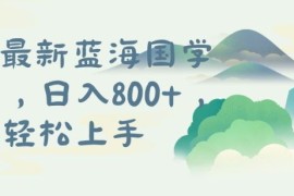 每日国学项目，长期蓝海可矩阵，从0-1的过程【揭秘】09-07冒泡网